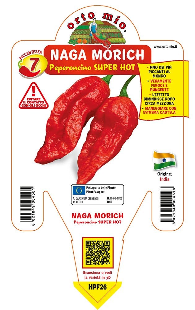 Peperoncino piccante SUPER HOT Naga Morich rosso - 1 pianta v.14 cm - Orto Mio Orto Mio (2496681)