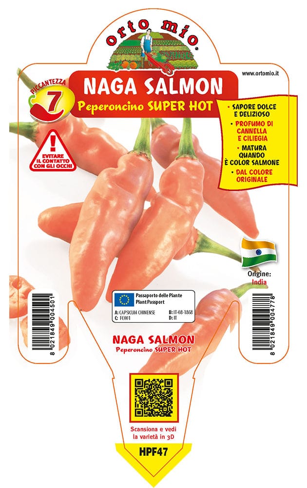 Peperoncino piccante SUPER HOT Naga Morich salmone - 1 pianta v.14 cm - Orto Mio Orto Mio (2496682)