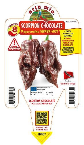 Peperoncino piccante Super Hot Scorpion Chocolate - 1 piante vaso 14 cm - Orto Mio Orto Mio (2496683)