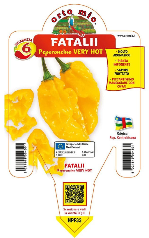 Peperoncino piccante very hot Fatalii - v. 14 cm - Orto Mio Orto Mio (2496688)