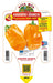 Peperoncino piccante VERY HOT Habanero arancione - 1 pianta  v.14 cm - Orto Mio Orto Mio (2496689)
