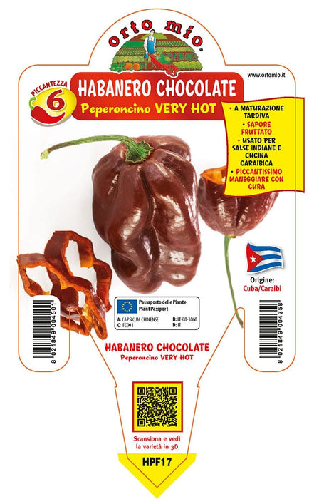 Peperoncino piccante VERY HOT Habanero chocolate - 1 pianta v.14 cm - Orto Mio Orto Mio (2496691)