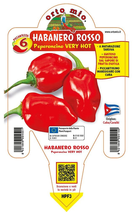 Peperoncino piccante VERY HOT Habanero rosso - 1 pianta v.14 cm - Orto Mio Orto Mio (2496693)