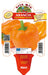 Peperone arancione Arancia F1 - 1 pianta v.10 cm - Orto Mio Orto Mio (2496696)