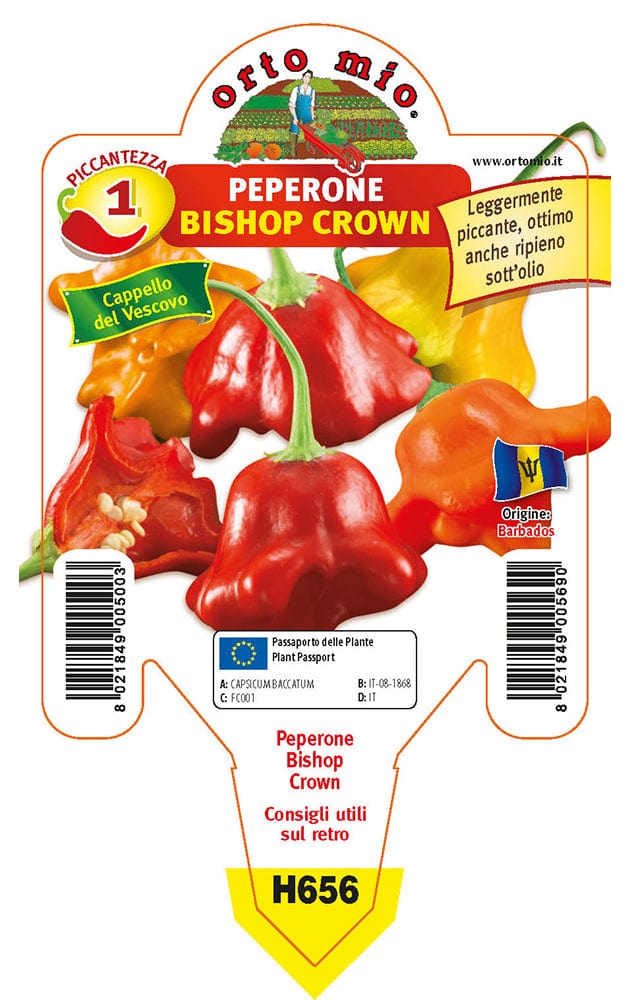 Peperone Cappello del Vescovo Bishop Crown - 1 pianta v.10 cm - Orto Mio Orto Mio (2496698)