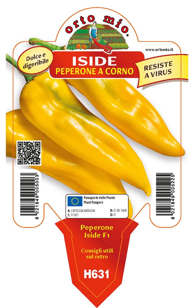 Peperone corno giallo Astor F1-Iside F1 - 1 pianta v.10 cm - Orto Mio Orto Mio (2496699)