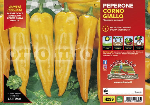 Peperone corno giallo Astor F1-Iside F1 - 6 piante - Orto Mio Orto Mio (2496700)