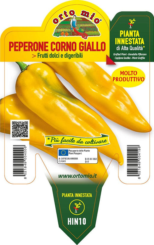 Peperone corno giallo giallo Astor F1-Iside F1 - 1 pianta innestata v.14 cm - Orto Mio Orto Mio (2496701)