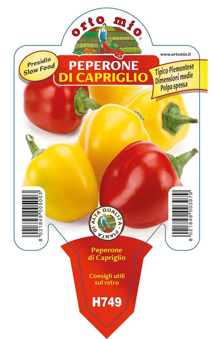 Peperone di Capriglio - 1 pianta v.10 cm - Orto Mio Orto Mio (2496705)