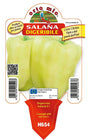 Peperone digeribile Citrino salana Laguna F1 - 1 pianta v.10 cm - Orto Mio Orto Mio (2496706)