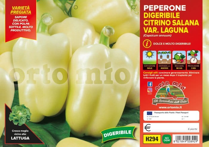 Peperone digeribile Citrino salana Laguna F1 - 6 piante - Orto Mio Orto Mio