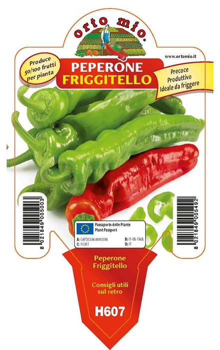 Peperone friggitello Torricello F1-Isotta F1 - 1 pianta v.10 cm - Orto Mio Orto Mio (2496712)
