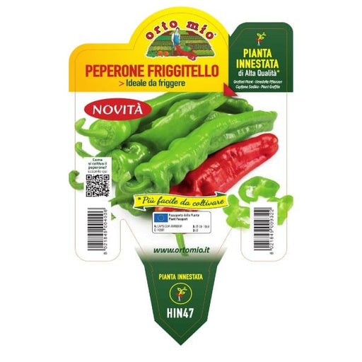 Peperone Friggitello var. Torricello F1 - 1 pianta innesta v.14 cm - Orto Mio Orto Mio (2496714)