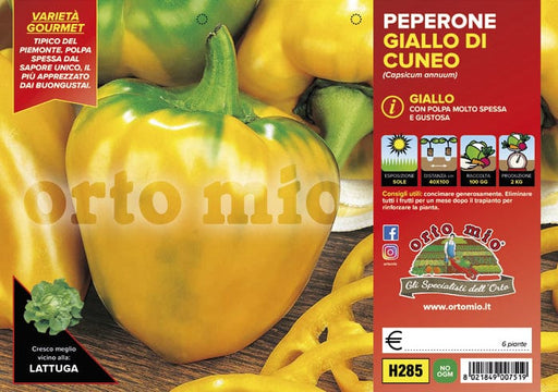 Peperone giallo di cuneo F1 - 6 piante - Orto Mio Orto Mio (2496715)
