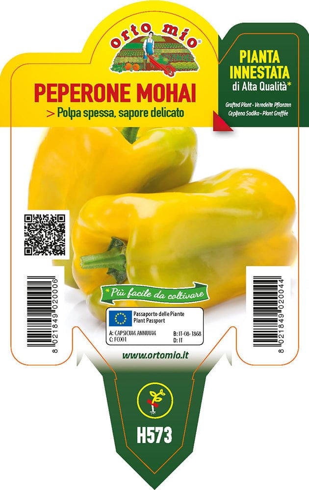 Peperone giallo Mohai F1 - 1 pianta innestata v.10 cm - Orto Mio Orto Mio (2496716)