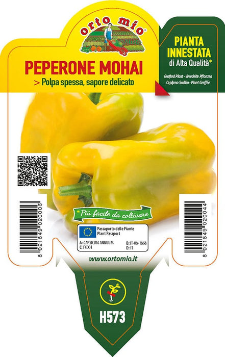 Peperone giallo Mohai F1 - 1 pianta innestata v.10 cm - Orto Mio Orto Mio (2496716)