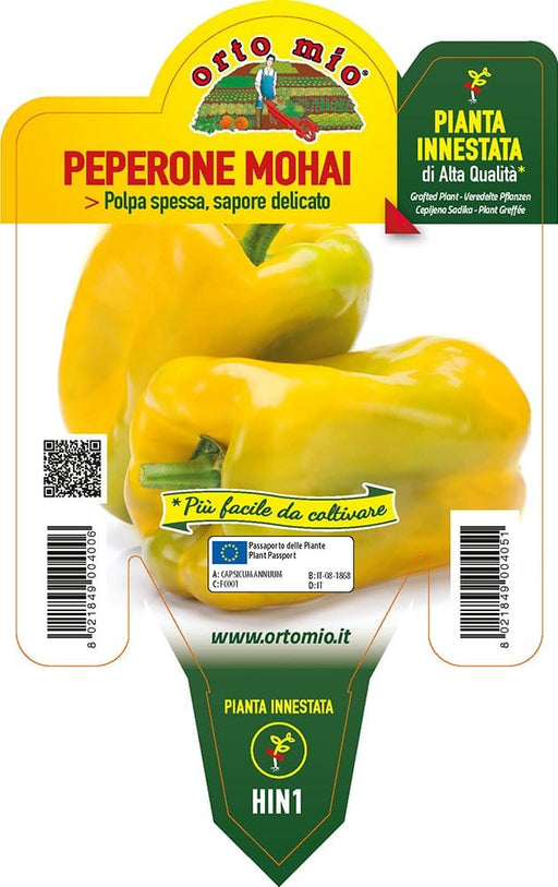 Peperone giallo Mohai F1 - 1 pianta innestata v.14 cm - Orto Mio Orto Mio (2496717)