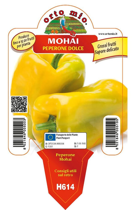 Peperone giallo Mohai F1 - 1 pianta v.10 cm - Orto Mio Orto Mio