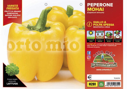 Peperone giallo Mohai F1 - 6 piante - Orto Mio Orto Mio (2496719)