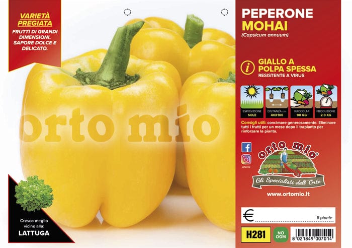 Peperone giallo Mohai F1 - 6 piante - Orto Mio Orto Mio