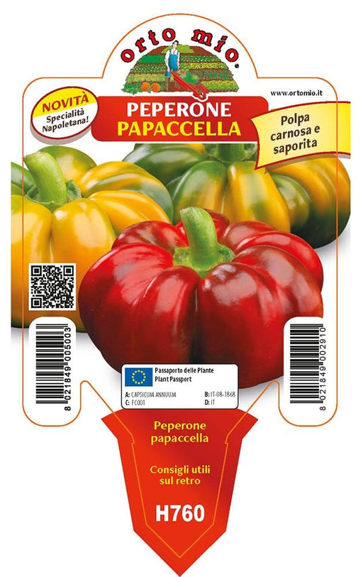 Peperone Papaccella o Napoletano - 1 pianta v.10 cm - Orto Mio Orto Mio (2496722)