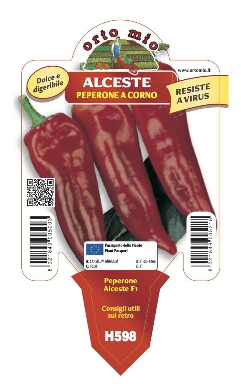 Peperone pescarese Capricorn F1 - Alceste - 1 pianta v.10 cm - Orto Mio Orto Mio (2496724)