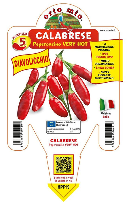 Peperone piccante calabrese diavolicchio Italico F1 - 1 pianta v.14 cm - Orto Mio Orto Mio