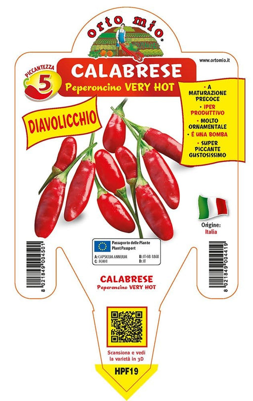 Peperone piccante calabrese diavolicchio Italico F1 - 1 pianta v.14 cm - Orto Mio Orto Mio (2496725)
