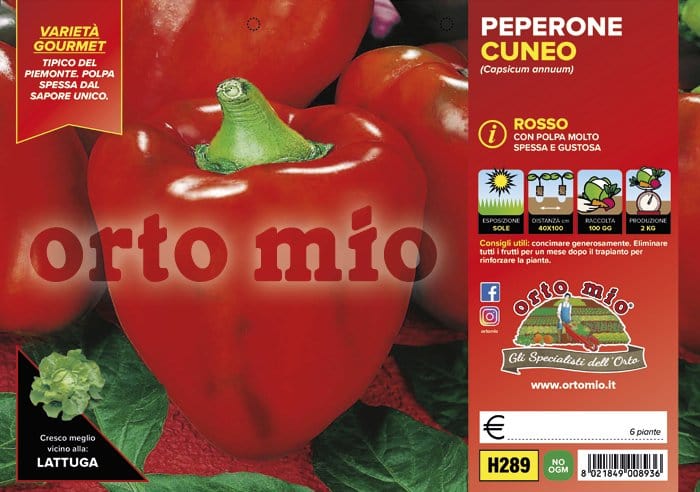 Peperone rosso di cuneo F1 - 6 piante - Orto Mio Orto Mio (2496730)