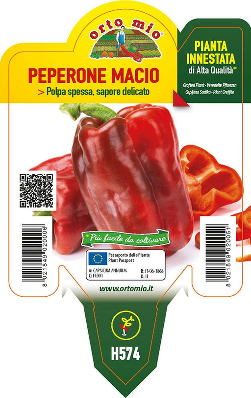 Peperone rosso Macio F1 - 1 pianta innestata v.10 cm - Orto Mio Orto Mio (2496733)