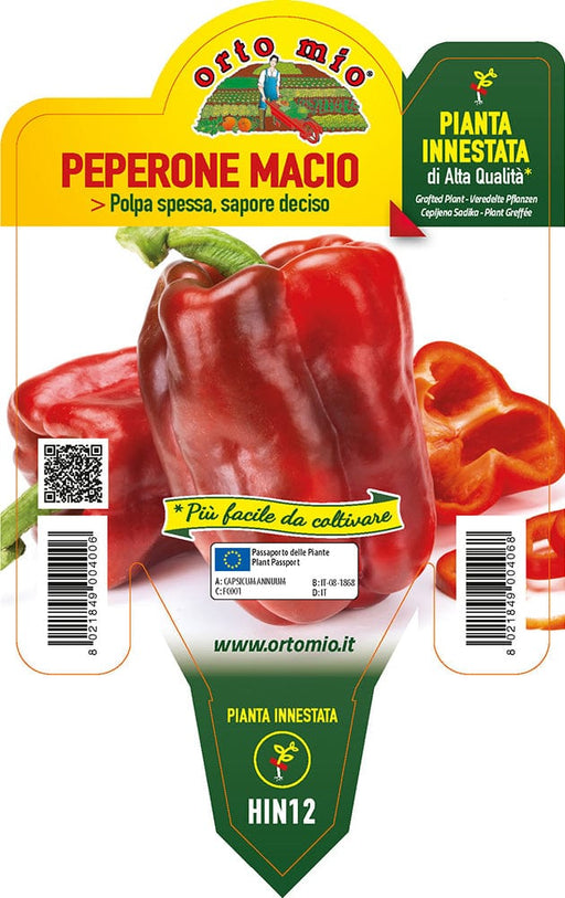 Peperone rosso Macio F1 - 1 pianta v.14 cm - Orto Mio Orto Mio (2496734)