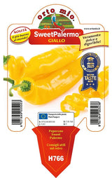 Peperone sweet Palermo - Giallo - 1 pianta v.10 cm - Orto Mio Orto Mio (2496738)