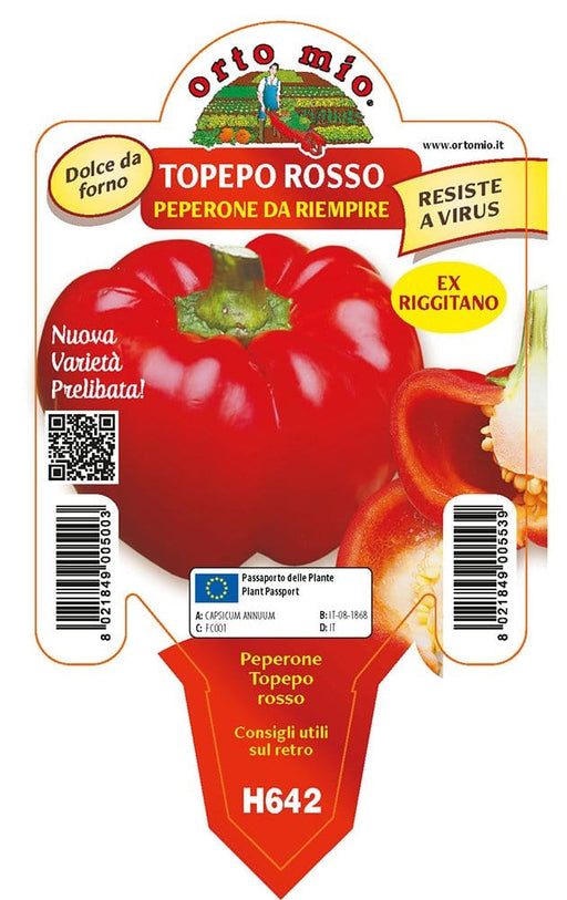 Peperone Topepo riempire Indus F1-Twister F1 - 1 pianta v.10 cm - Orto Mio Orto Mio (2496741)