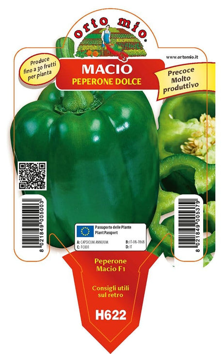 Peperone verde Macio F1 - 1 pianta v.10 cm - Orto Mio Orto Mio (2496743)