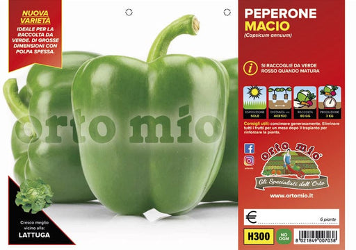 Peperone verde Macio F1 - 6 piante - Orto Mio Orto Mio (2496744)