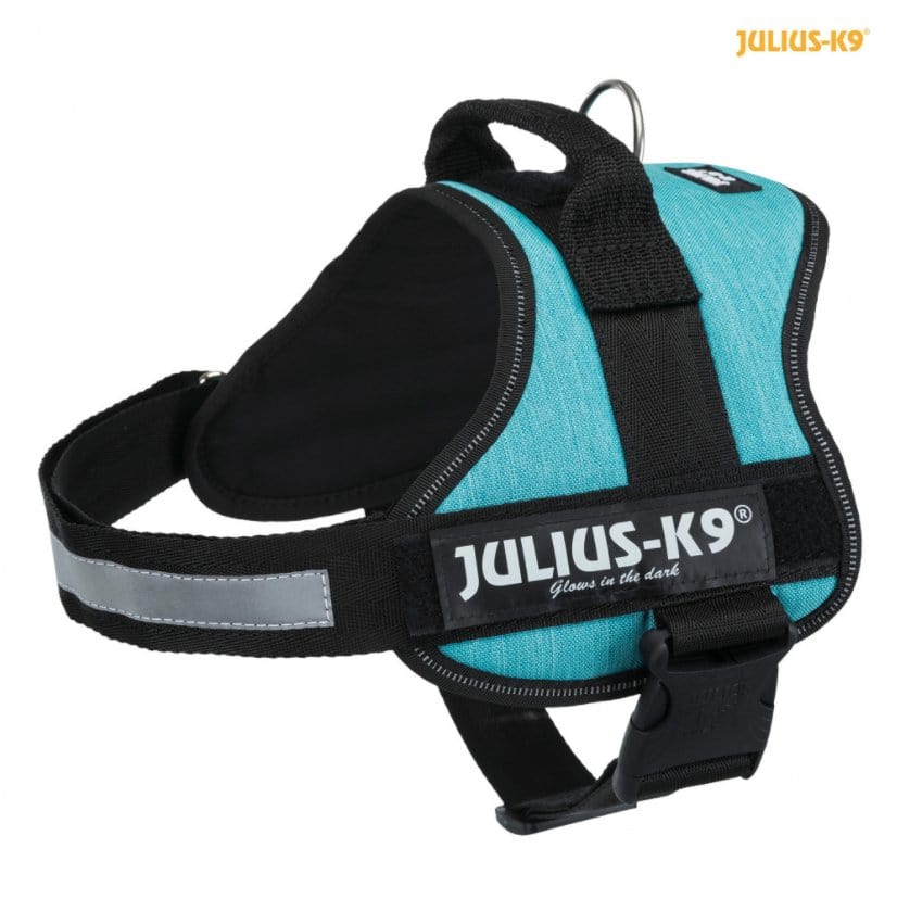 Pettorina Power Julius-K9 con maniglia Azzurro / 0/ML= 58 / 76 cm Julius-K9 (2496842)