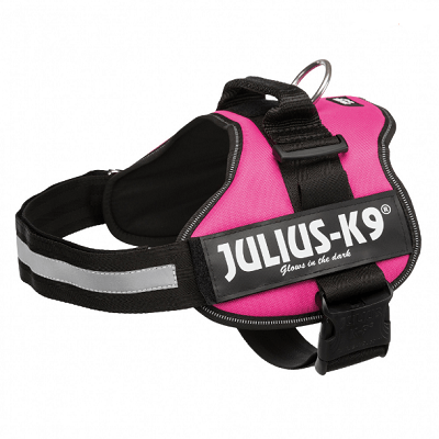 Pettorina Power Julius-K9 con maniglia Fuchsia / Baby 1/XS= 30-40 cm Julius-K9 (2496844)