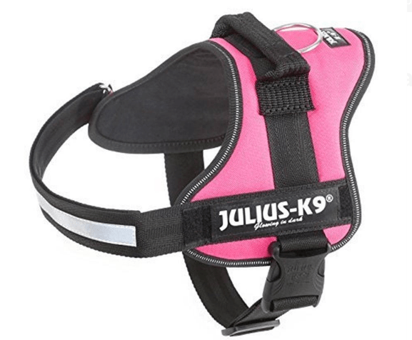 Pettorina Power Julius-K9 con maniglia Fuchsia / L Julius-K9 (2496851)