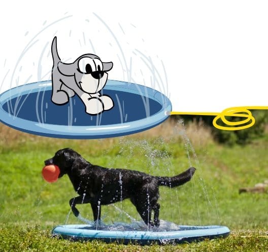Piscina Splash gioco per cani - 150 cm - Ferribiella —