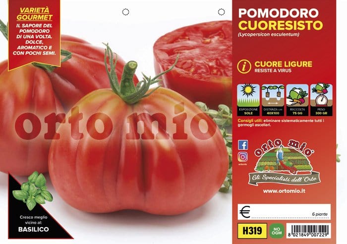 Pomodoro a cuore resistente cuore ligure Cuoresisto F1 - 6 piante - Orto Mio Orto Mio (2496992)