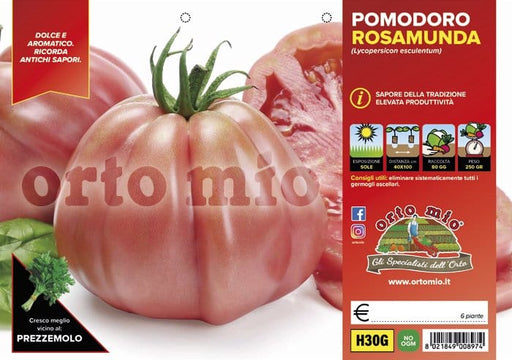 Pomodoro a cuore resistente cuore ligure rosa Rosamunda F1 - 1 pianta v.10 cm - Orto Mio Orto Mio (2496993)