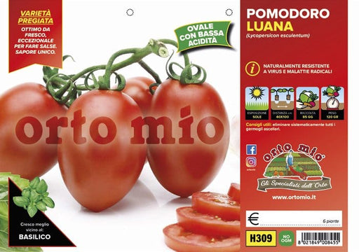 Pomodoro allungato speciale ovale Luana F1 - 6 piante - Orto Mio Orto Mio (2497002)