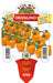 Pomodoro ciliegino arancio Orangino F1 - 1 pianta v.10 cm - Orto Mio Orto Mio (2497007)