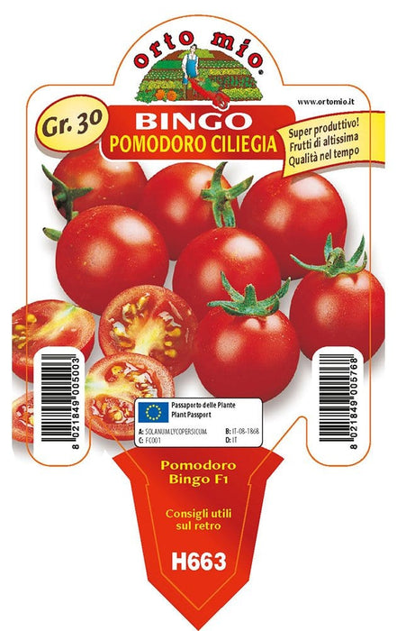 Pomodoro ciliegino Bingo F1 - 1 pianta v.10 cm - Orto Mio Orto Mio (2497009)