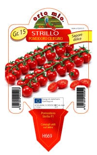 Pomodoro Ciliegino Strillo F1 - 1 pianta v.10 cm - Orto Mio Orto Mio (2497020)