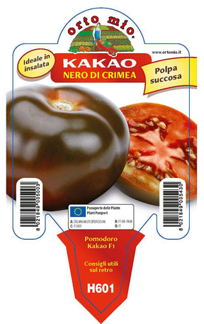Pomodoro Colorato nero di Crimea Kakao F1 - 1 pianta v.10 cm - Orto Mio Orto Mio (2497022)