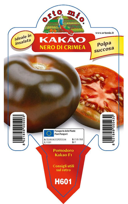 Pomodoro Colorato nero di Crimea Kakao F1 - 1 pianta v.10 cm - Orto Mio Orto Mio