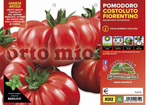 Pomodoro costoluto fiorentino Successo F1 - 6 piante - Orto Mio Orto Mio (2497028)