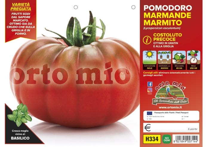 Pomodoro costoluto marmande Marmyto F1 - 6 piante - Orto Mio Orto Mio