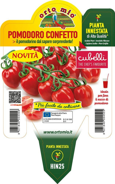 Pomodoro Cubello Confetto F1 - 1 pianta Innestata v.14 cm - Orto Mio Orto Mio
